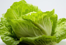 Del laboratorio a la ensalada: crean una “lechuga carnívora” que fabrica una proteína animal