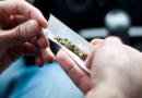 Marihuana y adolescencia: cuáles son sus efectos en el cerebro, la memoria y la conducta, según la ciencia Marihuana y adolescencia: cuáles son sus efectos en el cerebro, la memoria y la conducta, según la ciencia