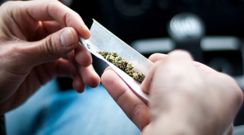 Marihuana y adolescencia: cuáles son sus efectos en el cerebro, la memoria y la conducta, según la ciencia Marihuana y adolescencia: cuáles son sus efectos en el cerebro, la memoria y la conducta, según la ciencia